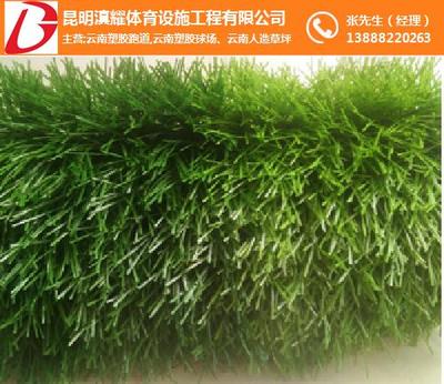 人造草坪廠商-滇耀體育(在線咨詢(xún))-昆明人造草坪