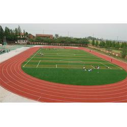 人造草坪足球場(chǎng) 騰夏裝飾產(chǎn)品 金壇人造草