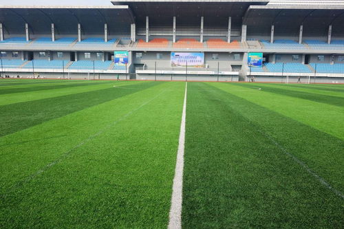 石家莊國林科技