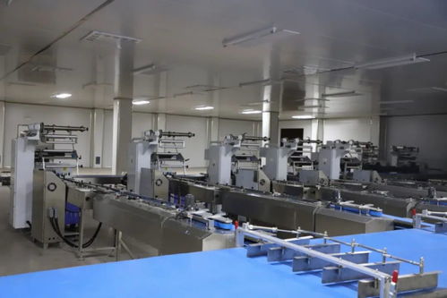 邱縣開展重點項目觀摩活動并召開全縣重點項目推進會