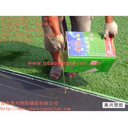 濟(jì)寧人造草坪足球場(chǎng) 奧興塑膠鋪裝 人造草坪足球場(chǎng)廠家
