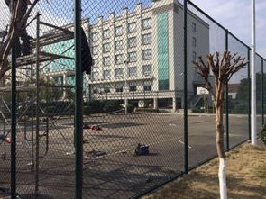 操場(chǎng)護(hù)欄網(wǎng)廠家保障品質(zhì)