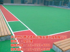 人造草坪施工 世紀(jì)騰達(dá) 在線咨詢(xún) 人造草坪