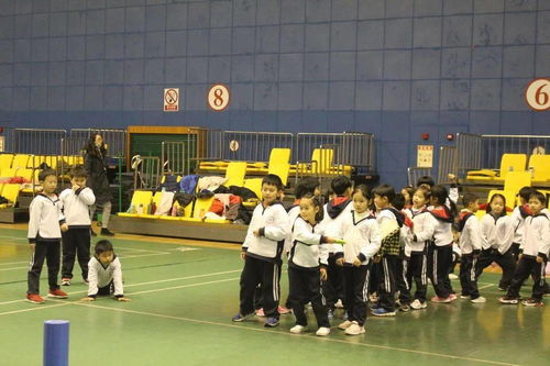 敢動 激情 小學(xué)未來班營地研學(xué)活動