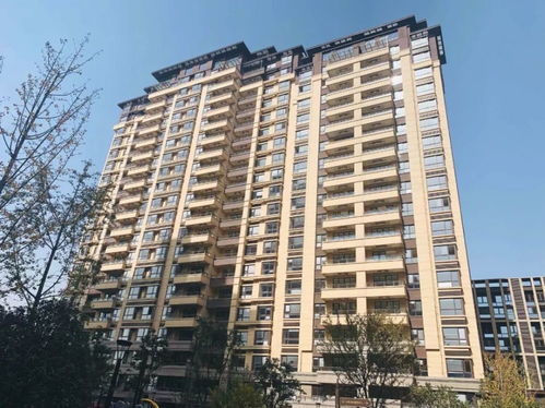 南京精裝現(xiàn)房交付盛況，業(yè)主激動難抑，打地鋪共慶新居