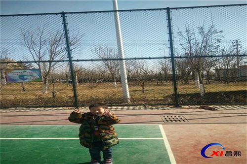 鹽邊昌熙公司 動(dòng)物園護(hù)欄與體育場(chǎng)地鋪裝的專業(yè)供應(yīng)商